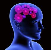 The Brain is very difficult to understant at times